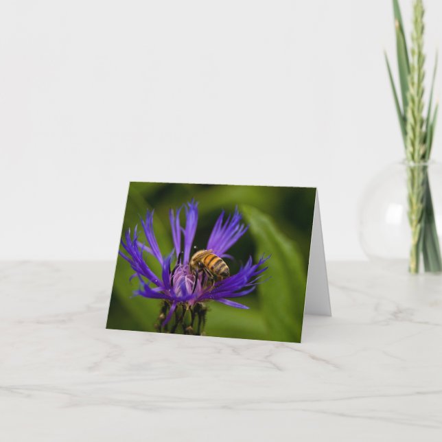 Cartão Você é doce como a saudação de mel (Frente)