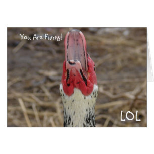 Cartão Você É Engraçado!