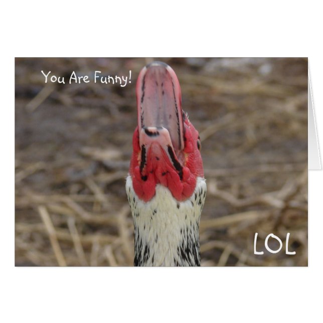 Cartão Você É Engraçado! (Frente Horizontal)