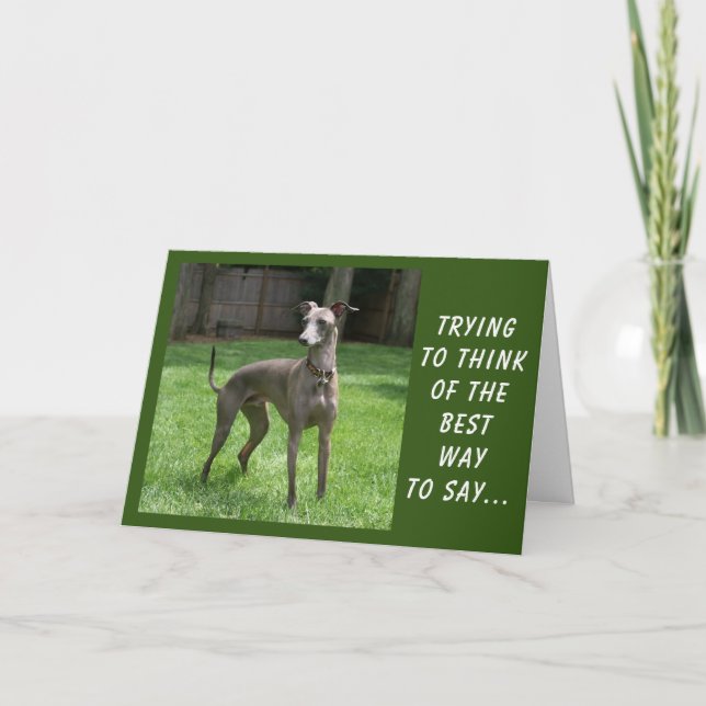 CARTÃO VOCÊ É "ESPECIAL" E "SEU ANIVERSÁRIO" (Frente)