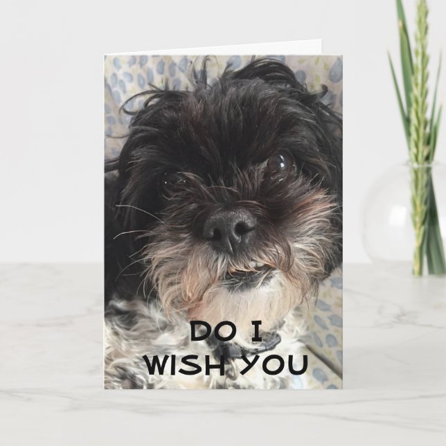 CARTÃO VOCÊ É MELHOR QUE EU DESEJO A VOCÊ UM ANIVERSÁRIO  (Frente)