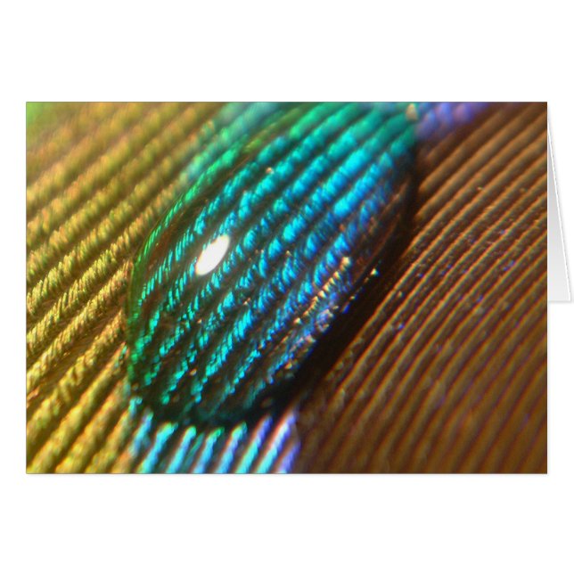 Cartão Você é meu ARCO-ÍRIS (Frente Horizontal)