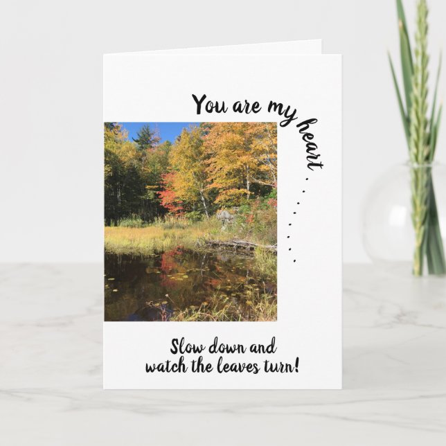 Cartão Você é meu coração ~ Reflexões de árvore de queda  (Frente)