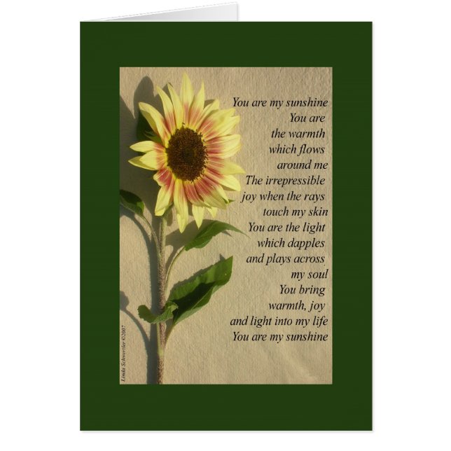 Cartão Você é meu verso da luz do sol (Frente)