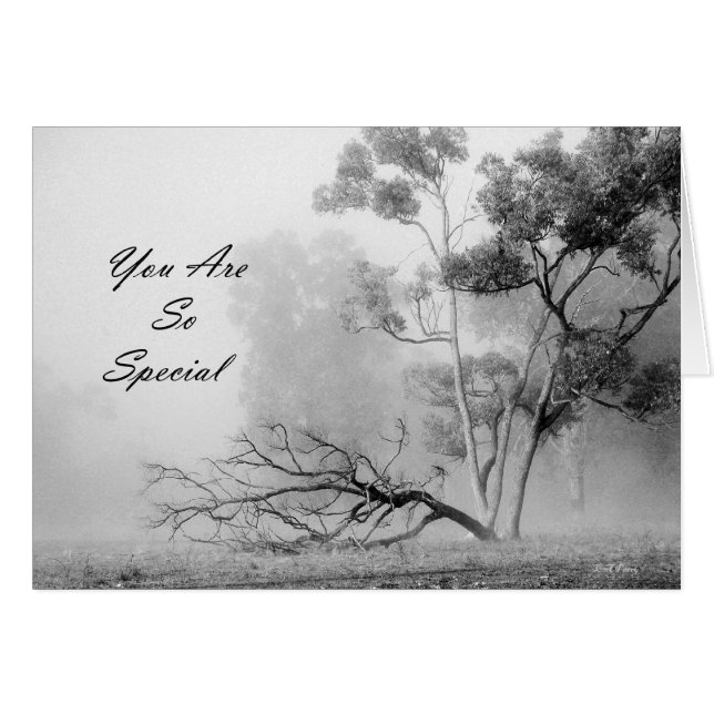 Cartão Você é tão especial (Frente Horizontal)