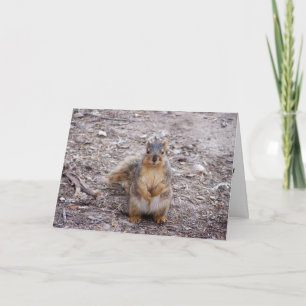 Cartão Você é um maluco