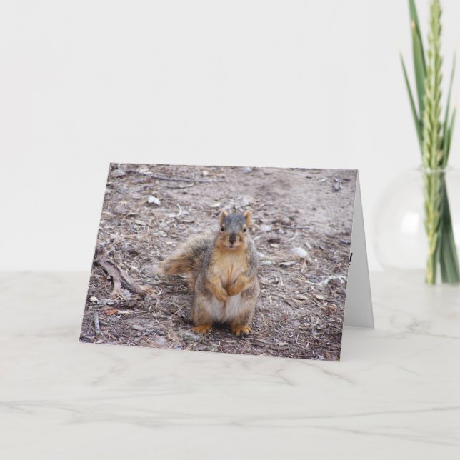 Cartão Você é um maluco (Frente)