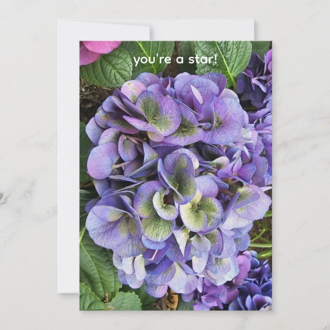 Cartão Você é uma estrela! (Frente)