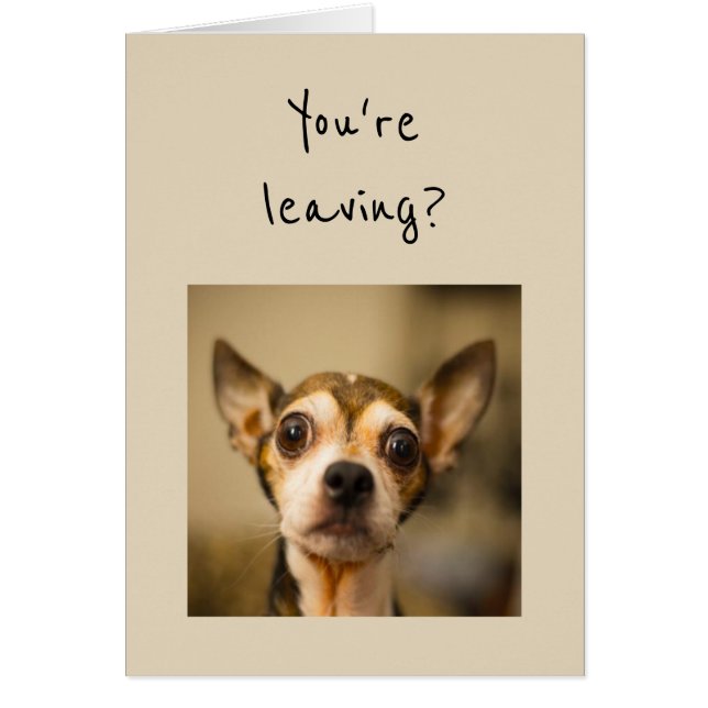 Cartão Você está indo embora? Não! Diversão de Chihuahua (Frente)