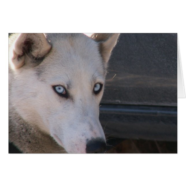 Cartão Você Está Pronto? (Frente Horizontal)