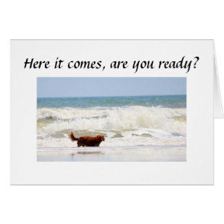 CARTÃO "VOCÊ" ESTÁ PRONTO PARA VOLTAR **** 50***