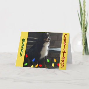 CARTÃO ***VOCÊ ILUMINA MINHA VIDA*** MERRÍVEL AMOR DE NAT