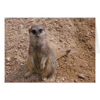 Cartão Você me faz sorrir