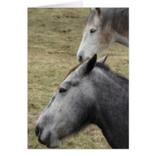 Cartão Você Me Fez Mas Eu Ainda Te Amo
