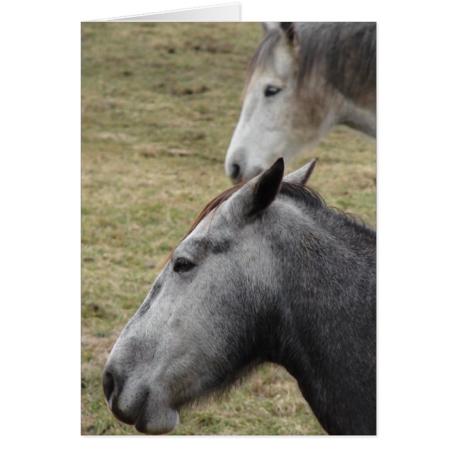 Cartão Você Me Fez Mas Eu Ainda Te Amo (Frente)