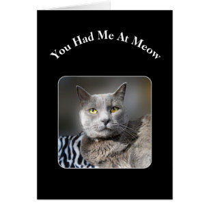 Cartão Você Me Teve No Meow Russo Blue Cat