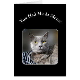 Cartão Você Me Teve No Meow Russo Blue Cat