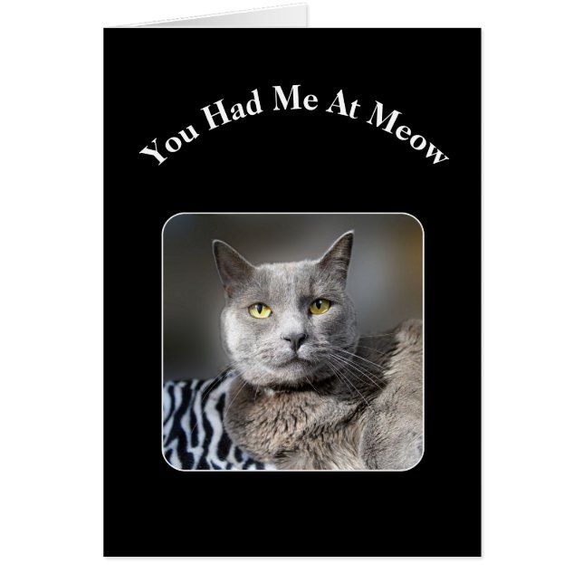 Cartão Você Me Teve No Meow Russo Blue Cat (Frente)