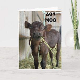 CARTÃO VOCÊ NÃO PARECE UM DIA SUPERIOR A 49 "60 ANOS"