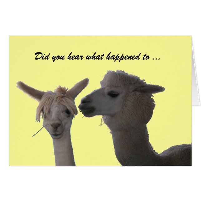 Cartão - Você Ouviu ... (Frente Horizontal)