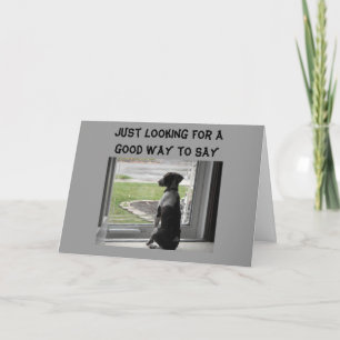 CARTÃO VOCÊ PARECE BOM POR CIMA DA COLINA