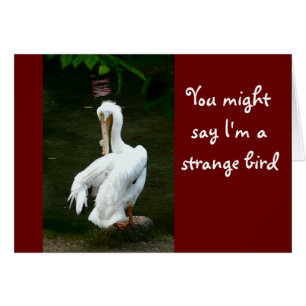 CARTÃO "VOCÊ PODE DIZER QUE EU SOU UM PÁSSARO ESTRANHO...