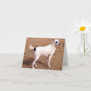 Cartão Você Pode Fazer Isso! - Altura do Suporte