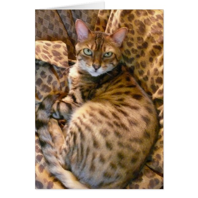 Cartão Você pode me ver? (Frente)