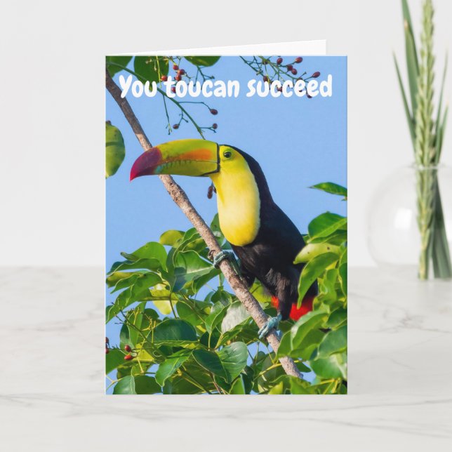 Cartão Você pode tucano ter sucesso (Frente)