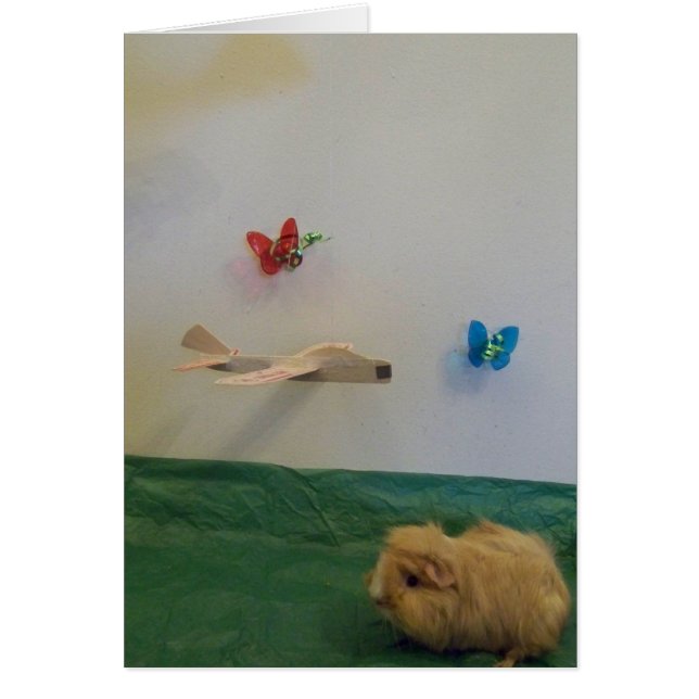 Cartão Você preenche minha vida com capricho (Frente)