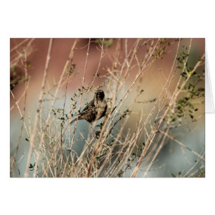 Cartão Você que olha me?