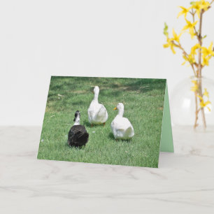 Cartão Você será Perdido