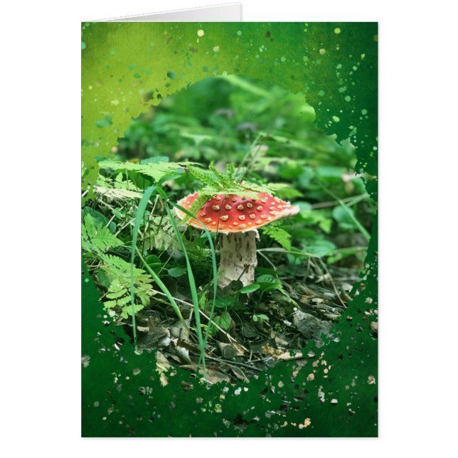 Cartão Voe Agaric - Placa de Arte de 5" x 7" (Frente)