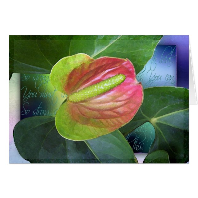 Cartão Vontade a curar (Frente Horizontal)