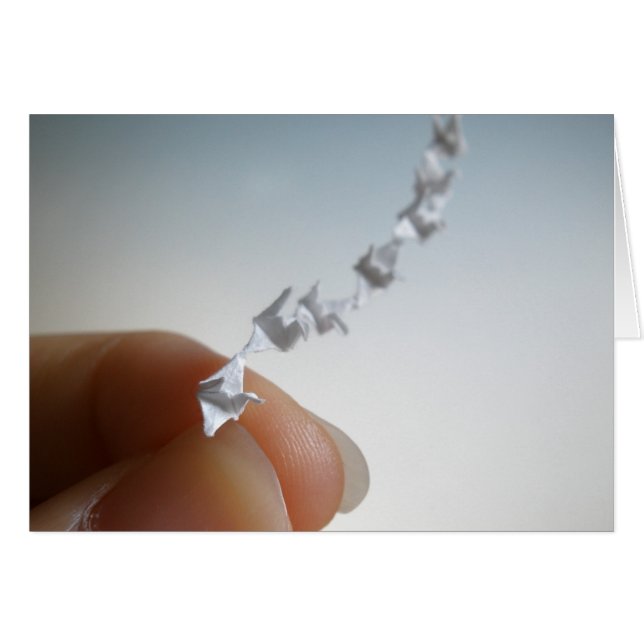 Cartão Voo (Frente horizontal)