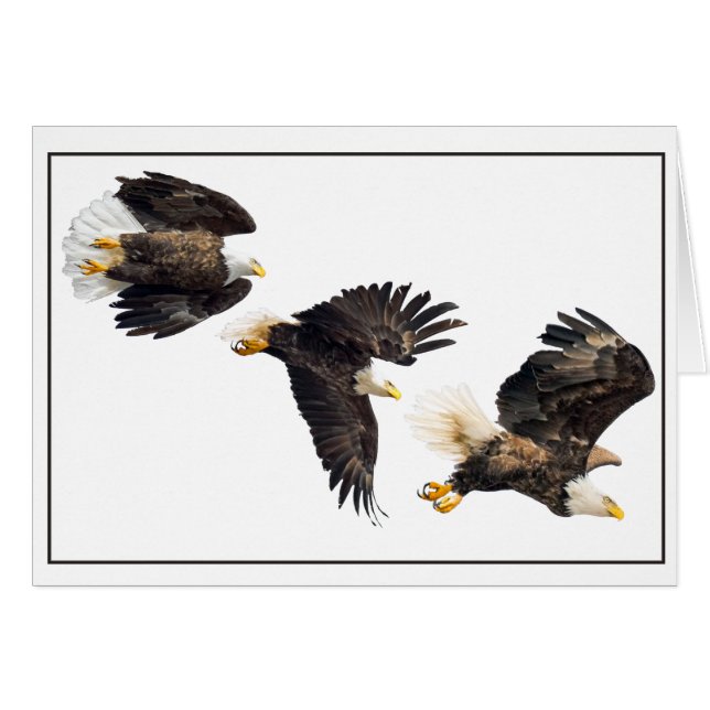 Cartão Voo Bald Eagle (Frente Horizontal)