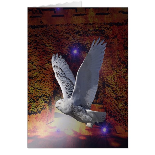 Cartão Voo da Coruja da Noite. (Frente)