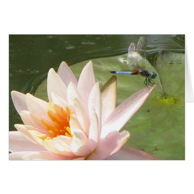 Cartão Voo de Dragão (Frente Horizontal)