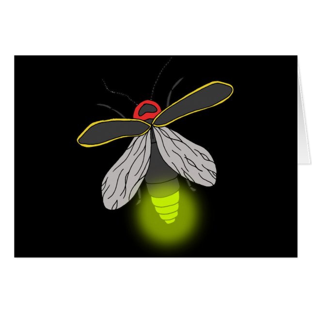 Cartão voo de inseto relâmpago aceso (Frente Horizontal)