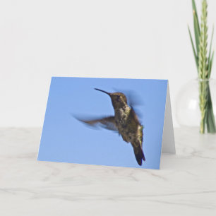 Cartão Voo do Hummingbird