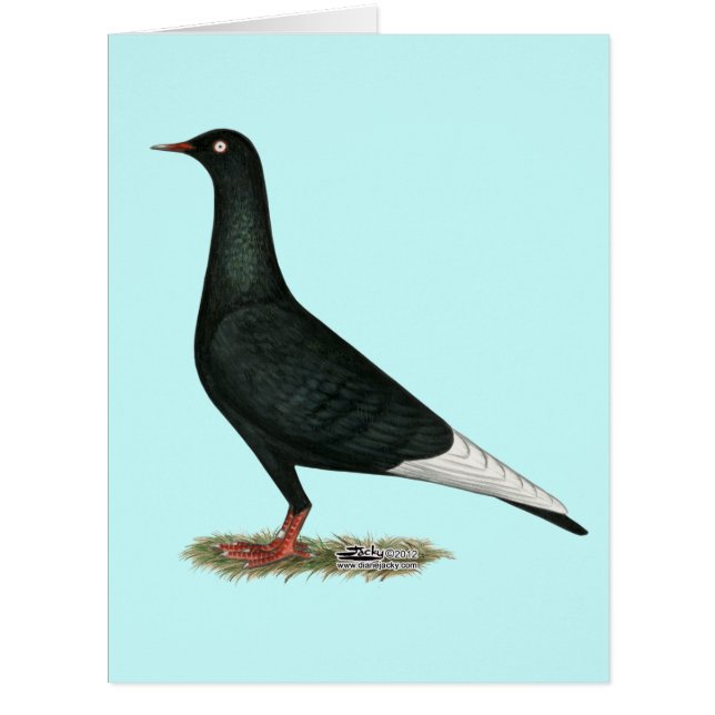 Cartão Voo Voador Pombo Negro (Frente)