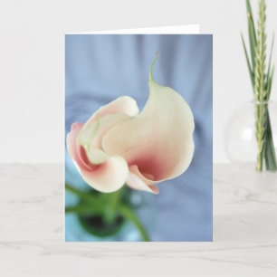 Cartão Vortex White Calla Lily Art Photo Note Cards