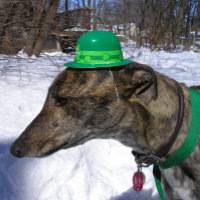 "Vou Correr contigo!"