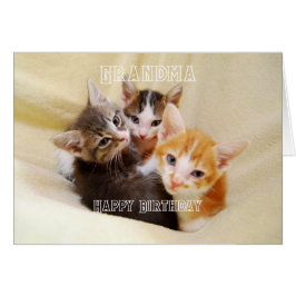 Cartão Vovó, Trio de Gatinhos Quentes e Fofos Feliz Anive