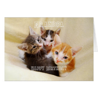 Cartão Vovô, Trio de Gatinhos Quentes e Fofos Feliz Anive