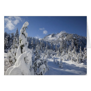 Cartão WA, Alpine Lakes Wilderness, bacia do Snow Lake