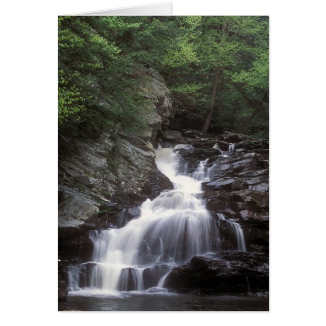 Cartão Waconah Falls Berkshires Massachusetts (Frente)