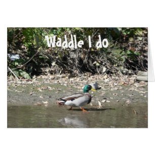 Cartão Waddle, eu faço