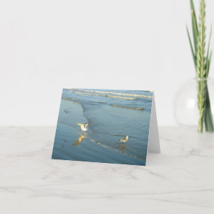 Cartão Wading Gulls Blank Note Cards