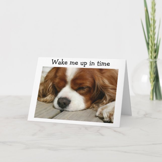 CARTÃO "WAKE ME UP IN TIME" SAY SPANIEL BIRTHDAY GREETING (Frente)
